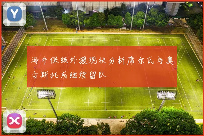 海牛保级外援现状分析席尔瓦与奥古斯托或继续留队
