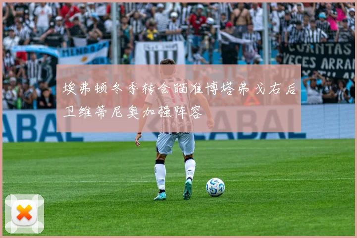 埃弗顿冬季转会瞄准博塔弗戈右后卫维蒂尼奥加强阵容