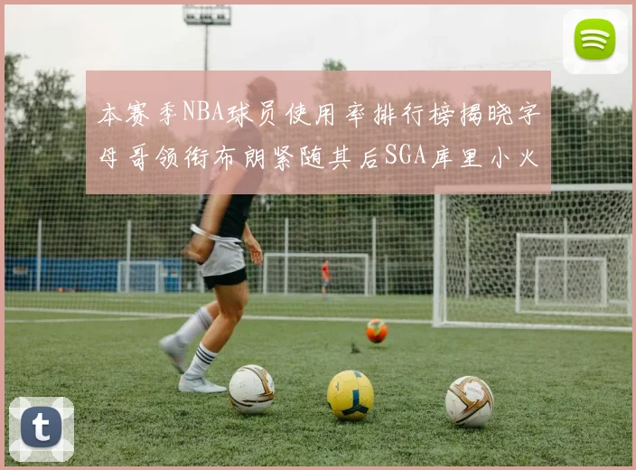 本赛季NBA球员使用率排行榜揭晓字母哥领衔布朗紧随其后SGA库里小火车紧追不舍